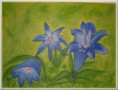 /album/tableaux-acrylique/gentianes-bleues-40-x-50-cm-jpg/